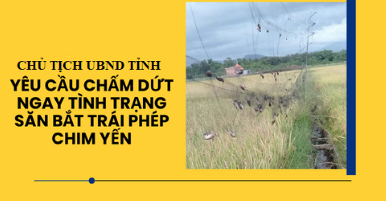  Công điện khẩn về việc tăng cường triển khai các giải pháp ngăn chặn tình trạng săn bắt trái phép, quản lý nuôi chim yến 